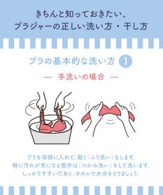 WACOAL ランジェリーウォッシュ 【詰め替え用】 下着専用中性洗剤 手洗い用 下着の素材を傷めにくい 無リン 無着色 ユニセックス ZRA211 /ワコール