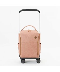 ACE BAGS & LUGGAGE soelte マルメ お買い物キャリー 23L 35982 ソエルテ ソフトスーツケース