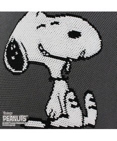 ROOTOTE 8242【スヌーピー：インテリアトート】/ IP.ポーノ.ベビールー.ピーナッツ-6T