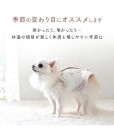 PET PARADISE スヌーピー サーモキープ タンクトップ 《ひょこっと柄》 超小型犬 小型犬