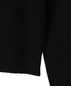 WEGO リブハイネックショートニット