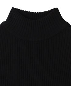 WEGO リブハイネックショートニット