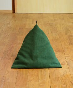 ビーズクッション tetra 高耐久性でペットも安心 tetra LEON（レオン）ビーズクッション　（ミニサイズ）