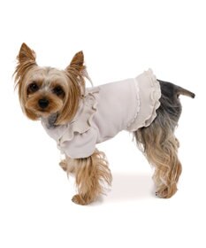 PET PARADISE ペットパラダイス ペティヒートDAN Tシャツ 《小花刺繍》小型犬