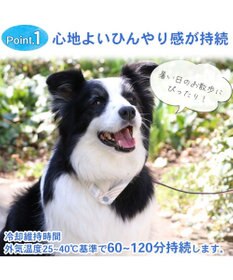 PET PARADISE クールリング 犬 クールネック ひんやり 28℃クールリング 【Ｍ】 リフレクター 水色 ベージュ 反射材付き