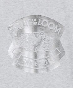 Green Parks ■ＦＲＵＩＴ　ＯＦ　ＴＨＥ　ＬＯＯＭ　箔ロゴｐｔＴＥＥ