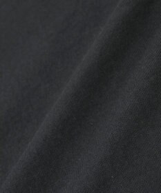 Green Parks ■ＦＲＵＩＴ　ＯＦ　ＴＨＥ　ＬＯＯＭ　箔ロゴｐｔＴＥＥ