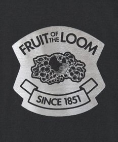 Green Parks ■ＦＲＵＩＴ　ＯＦ　ＴＨＥ　ＬＯＯＭ　箔ロゴｐｔＴＥＥ