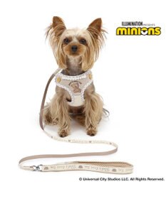 PET PARADISE ミニオン ティム リード付きハーネス 《チェック柄》  ３Ｓ 小型犬