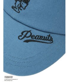 Green Parks ■ＰＥＡＮＵＴＳ　刺繍ＣＡＰ