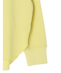 AMERICAN HOLIC スキッパーワッフルプルオーバー