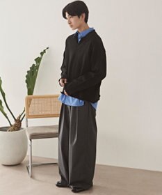 WEGO スキッパーニットポロ