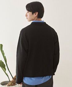 WEGO スキッパーニットポロ