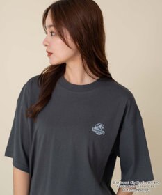 WEGO 【ユニセックス着用ITEM/SMLサイズ展開】JURASSIC　PARKグラフィックT（S）