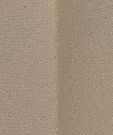 組曲 【暖かい・美シルエット・ストレッチ】バックウォーム テーパードパンツ