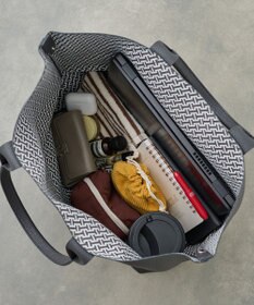 IACUCCI オペラ L CERVO/STAMPA INTERNA