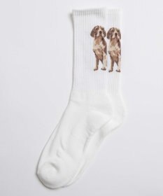 WEGO パターンデザインソックス（R）