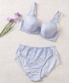 Wing Wing Lesiage 【3000シリーズ】 PB3000 ウイング／ワコール