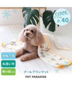 PET PARADISE ディズニー くまのプーさん チェック柄 クールブランケット (90×60cm)