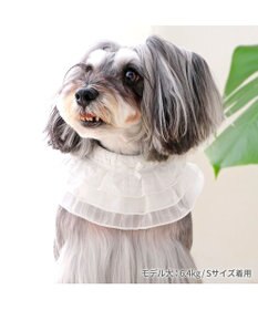 PET PARADISE ペットパラダイス クールバンダナ 《フリル》 小型犬