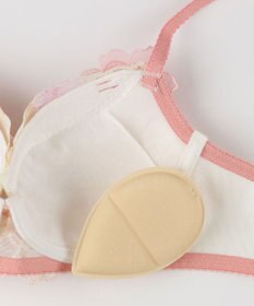 Wing ブラジャー Wing Lesiage サイドすっきり しっかりフィット 【2900シリーズ】 ブラ PB2900 ウイング／ワコール