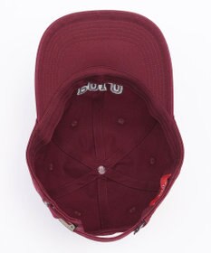 ANY 【POLO BCS別注】キャップ