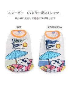 PET PARADISE スヌーピー UV反応 色が変わるTシャツ 《ビーチ柄》 中型犬 大型犬