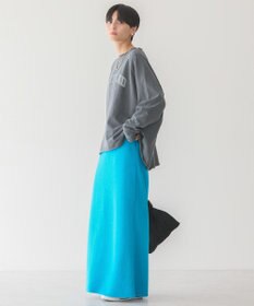 AMERICAN HOLIC ＰＯＲＴＬＡＮＤピグメントスウェット