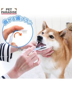 PET PARADISE ペットパラダイス 曲がる歯ブラシ 全犬種用