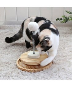 PET PARADISE 猫 木製 コロコロ トイ