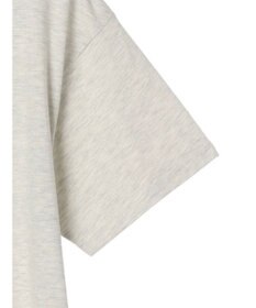 Green Parks Ｗｉｎｎｉｅ　ｔｈｅ　Ｐｏｏｈ／バックプリントＴＥＥⅡ