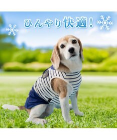 PET PARADISE ペットパラダイス 接触冷感 マリン風 タンクトップ 中型犬 大型犬
