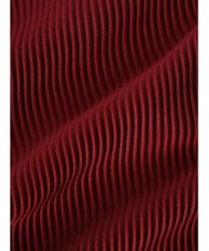 CRAFT STANDARD BOUTIQUE カットプリーツパンツ