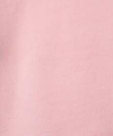 AMERICAN HOLIC ＰＯＲＴＬＡＮＤピグメントスウェット