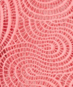 JOSEPH コードレース クロシェ　ブラウス