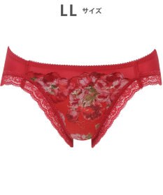 WACOAL ショーツ 【ハグするブラ】BRB488とペア はきこみ丈あさめ バックはナイロンベア天竺素材 レディース PRA188 /ワコール