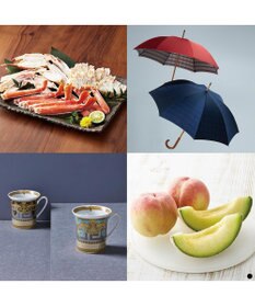 PRESENTERS ROOM uluao(ウルアオ) カタログギフト ＜ドミツィアナ＞