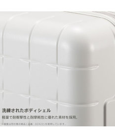 ACE BAGS & LUGGAGE Proteca 360G4 スーツケース 日本製 105L 02425 プロテカ