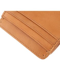 genten ゴートベーシック フラグメントケース