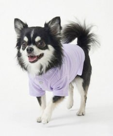 OP／FILA 【Ocean Pacific】ポロシャツ風ドッグウェア ペットウェア