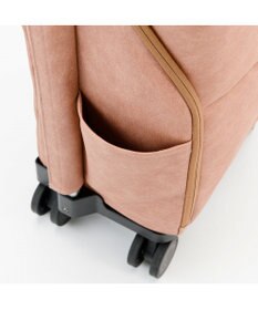 ACE BAGS & LUGGAGE soelte マルメ お買い物キャリー 23L 35982 ソエルテ ソフトスーツケース