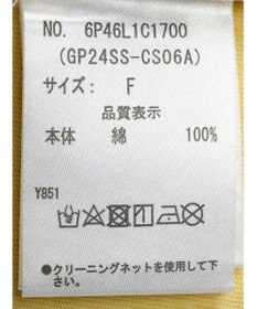 Green Parks ・Ｄｏｕｂｌｅ　Ｆｌａｇｓウ゛ィンテージライクプリントＴ