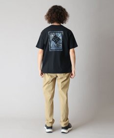 Columbia Columbia/ ヤハラフォレストグラフィックショートスリーブTシャツ /コロンビア