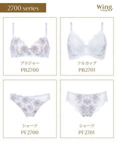 Wing 3/4カップブラ　【2700シリーズ】　しっかりめの着用感　奥行き感と透明感のあるデザイン　ウイング／ワコール　PB2700