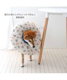 PET PARADISE スヌーピー makokoro エリザベスカラー ＳＭ 中型犬