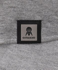 GOTAIRIKU 【吸汗速乾】クールマックス鹿の子 半袖ビズシャツ_ボタンダウン