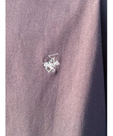 AMERICAN HOLIC Ｂ．Ｈ　ＰＯＬＯ　ＣＬＵＢ　バックプリントＴＥＥ