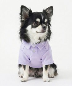 OP／FILA 【Ocean Pacific】ポロシャツ風ドッグウェア ペットウェア