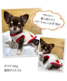 PET PARADISE ペットパラダイス サーモキープ タンクトップ  苺柄 【小型犬】