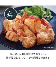 YAMATO テーブル＆キッチン 【レコルト】ハイスチームエアーオーブン  クリームホワイト  RAO-3(W)